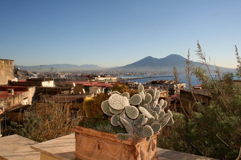 Alma De Templarsf Home- Loft With Sea View And Terrace Napoli Cameră foto